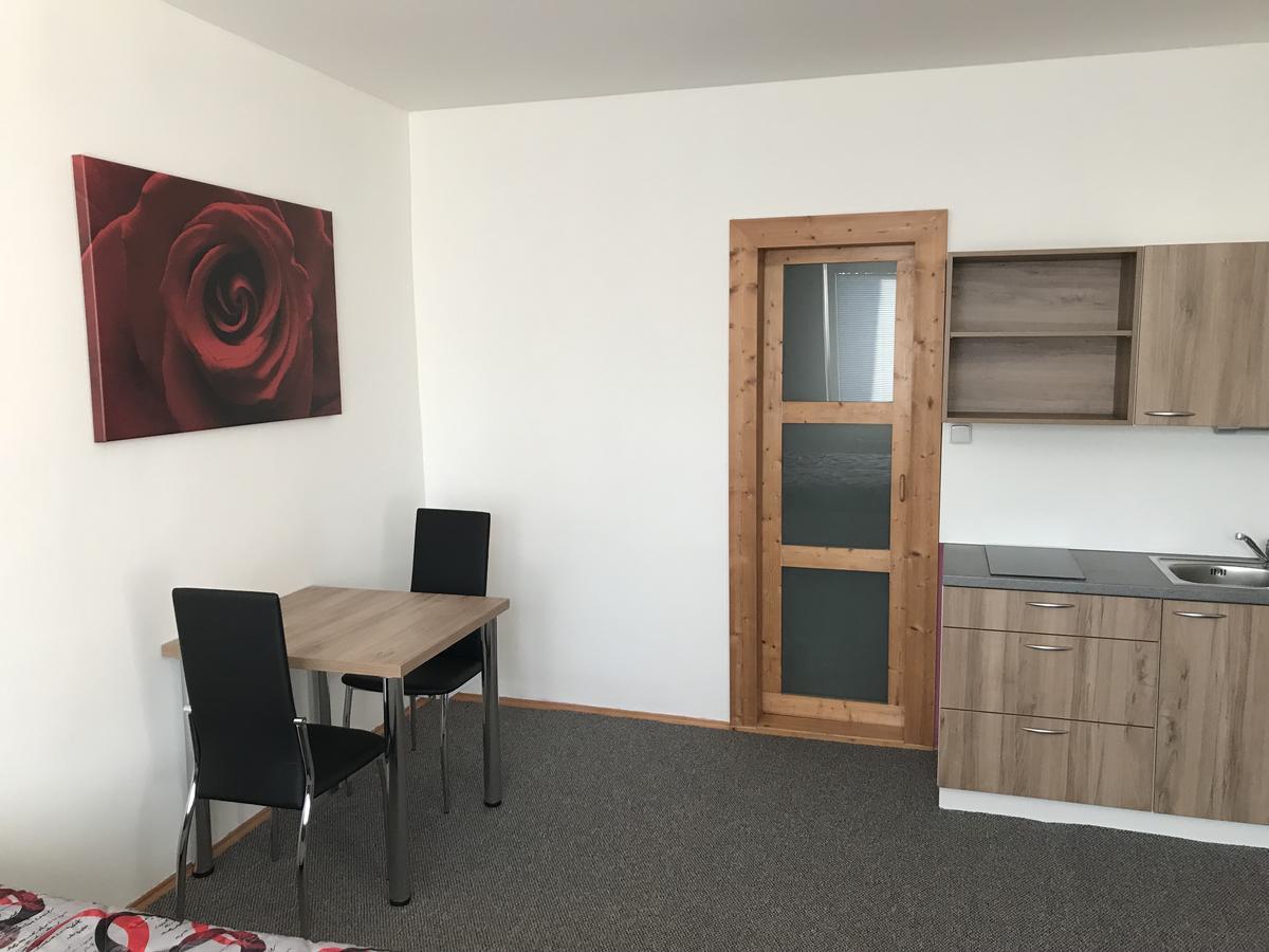 Apartment Dominika Strupcice Εξωτερικό φωτογραφία